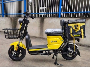 国标电动自行车